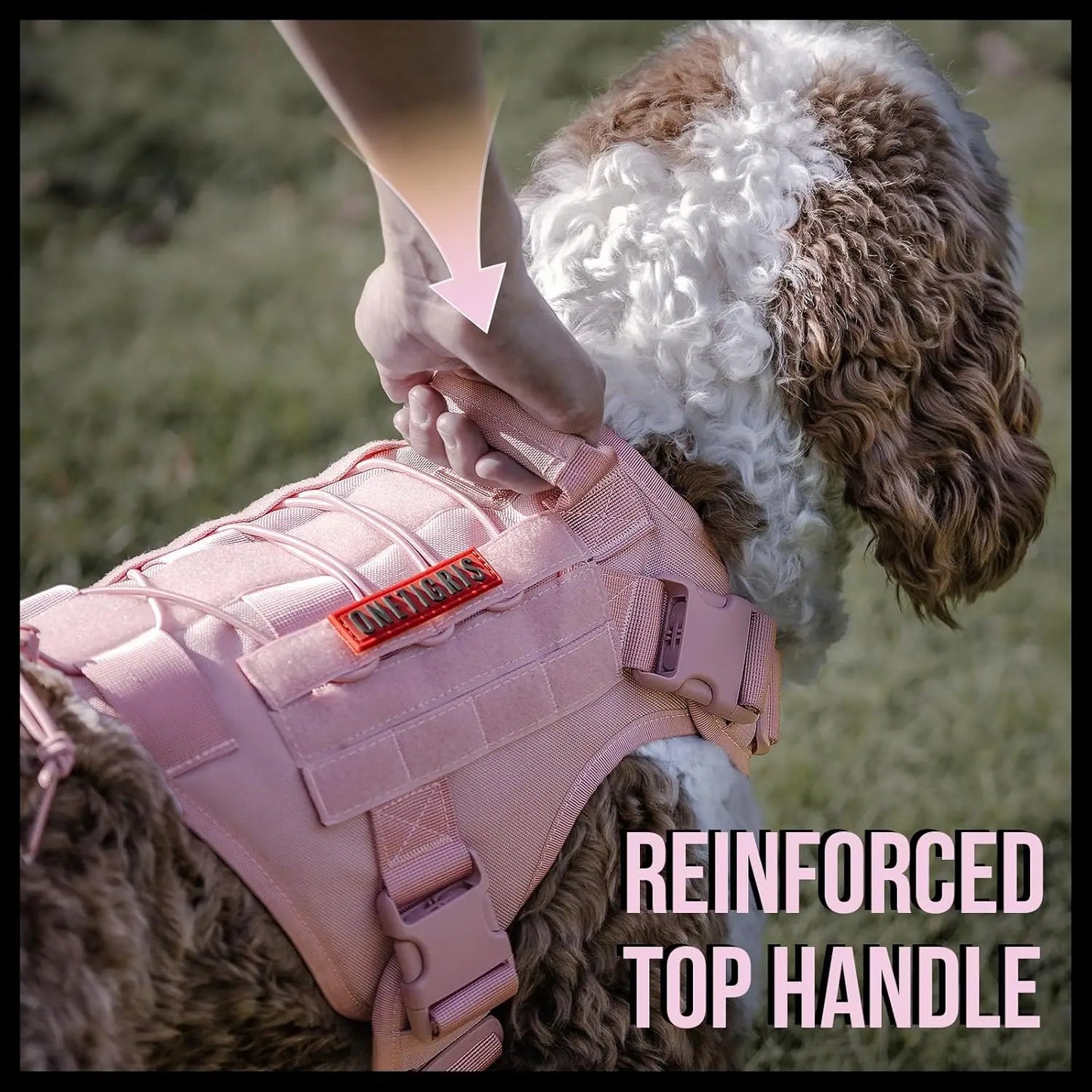Adjustable No Pull Dog Harness Vest for Walking and Training