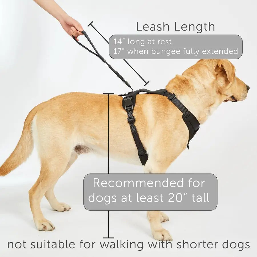 Grab Dog Harness With Integrated Traffic Leash For Quick Control