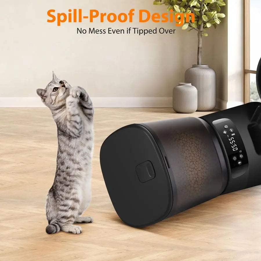 Double Automatic Cat Feeder for Two Cats With Timer and Stainless Bowls