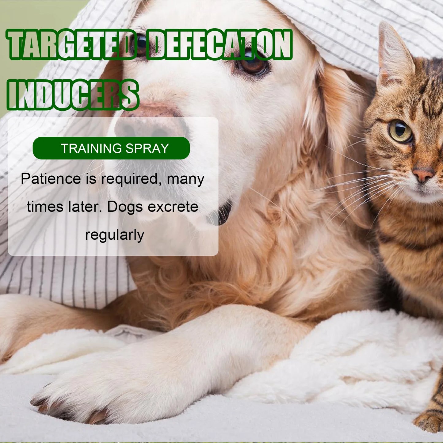 Yegbong Pet Toilet Training Spray for Dogs and Cats