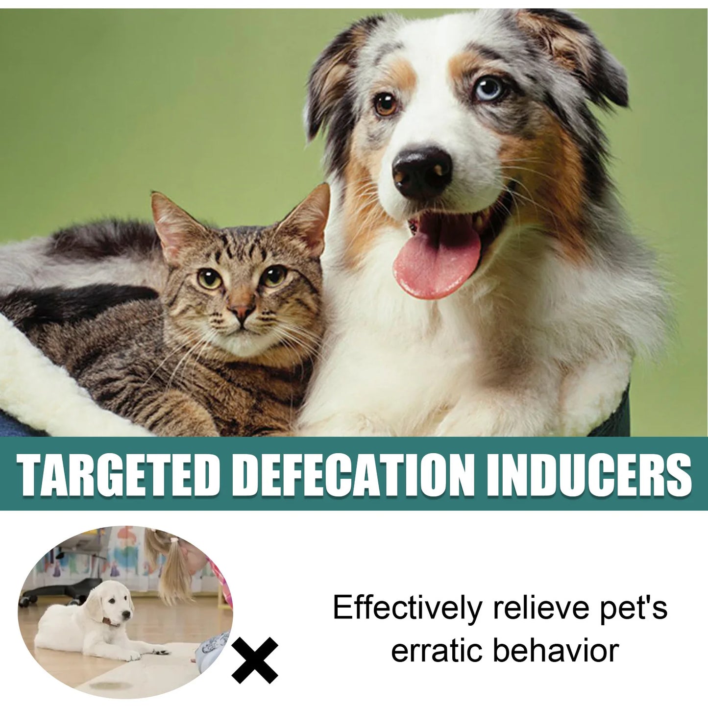 Yegbong Pet Toilet Training Spray for Dogs and Cats