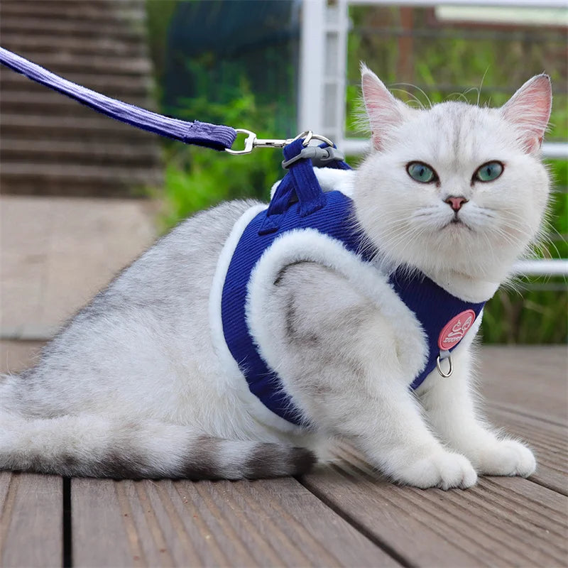 Walking Sphynx Cat Harness Vest With Fur And Leash
