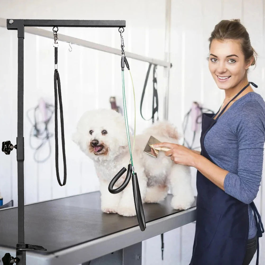 Nonedesk Dog Cat Holder Adjustable Stainless Steel Grooming Stand