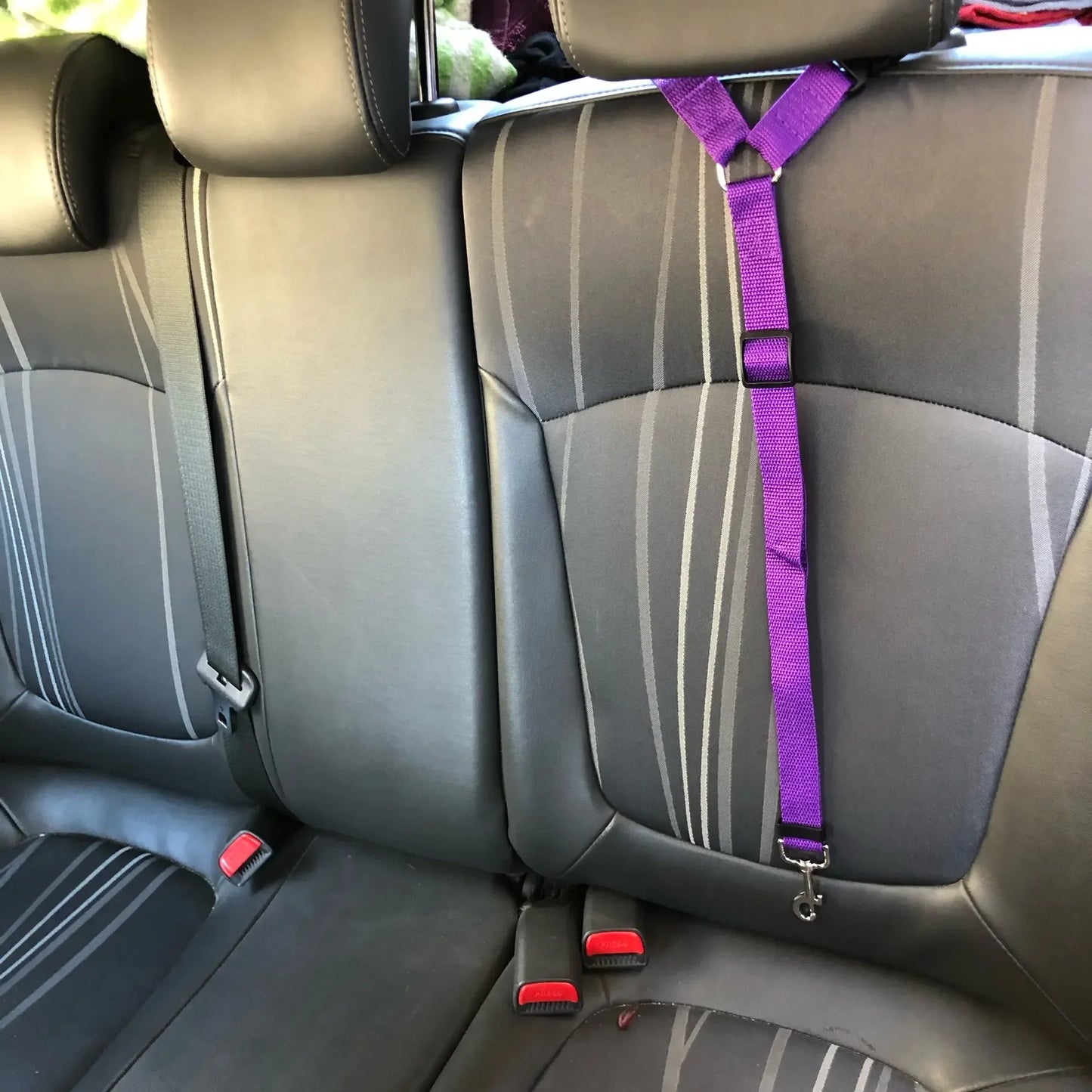 NONECN Two In One PetCare Car Seat Belt Leash Harness
