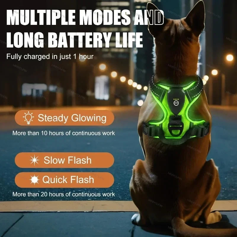Led Luminous Dog Harness No Pull Adjustable Rechargeable For Walking