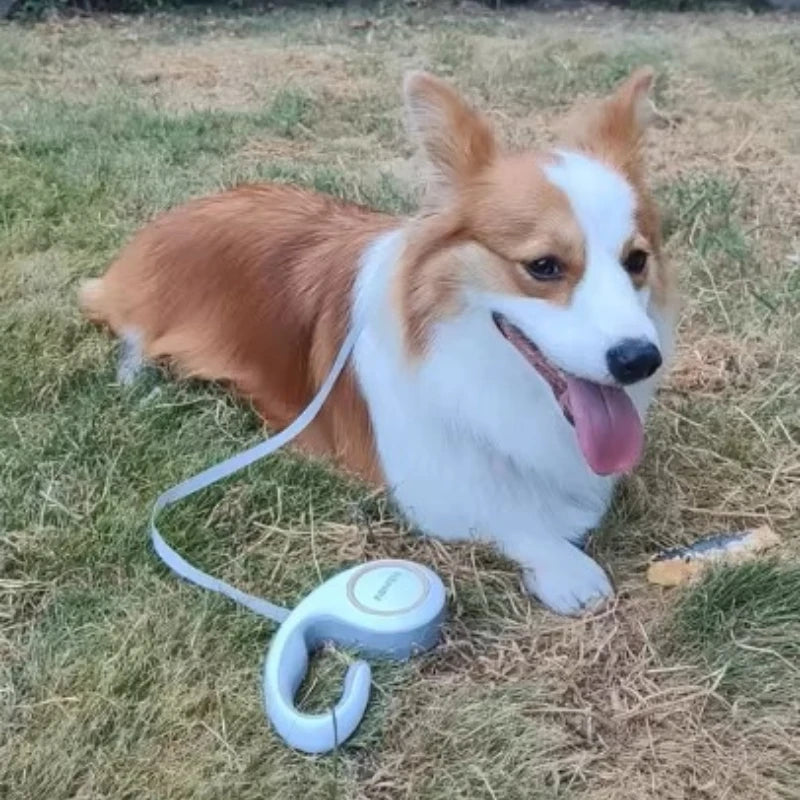 Retractable Dog Leash Hands-Free Design For Walking Outdoors