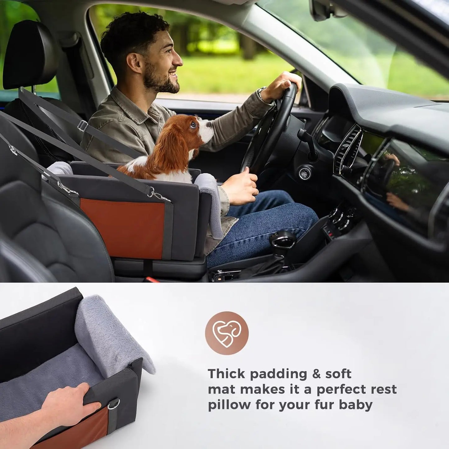 XMSJ Center Console Car Seat For Small Dogs And Cats