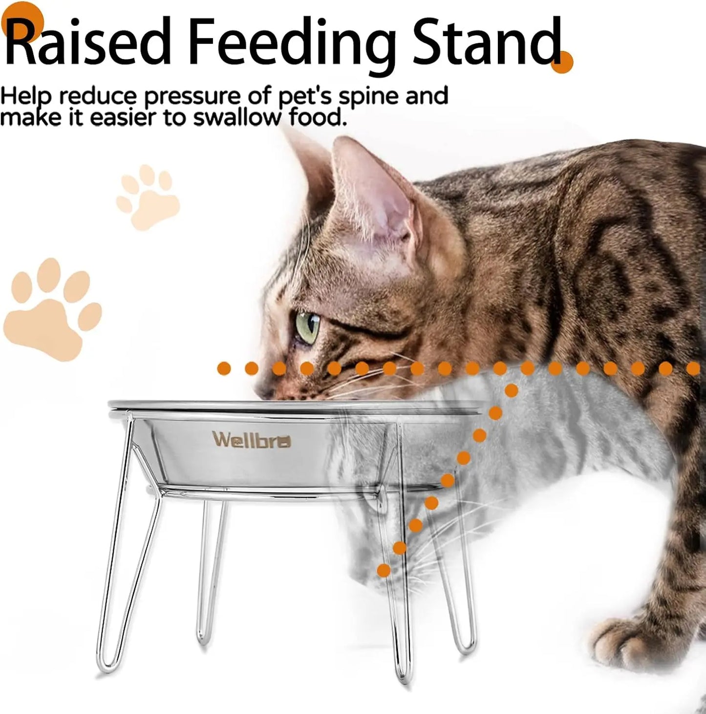 Stainless Steel Raised Bowls 4-Pack For Cats And Small Dogs