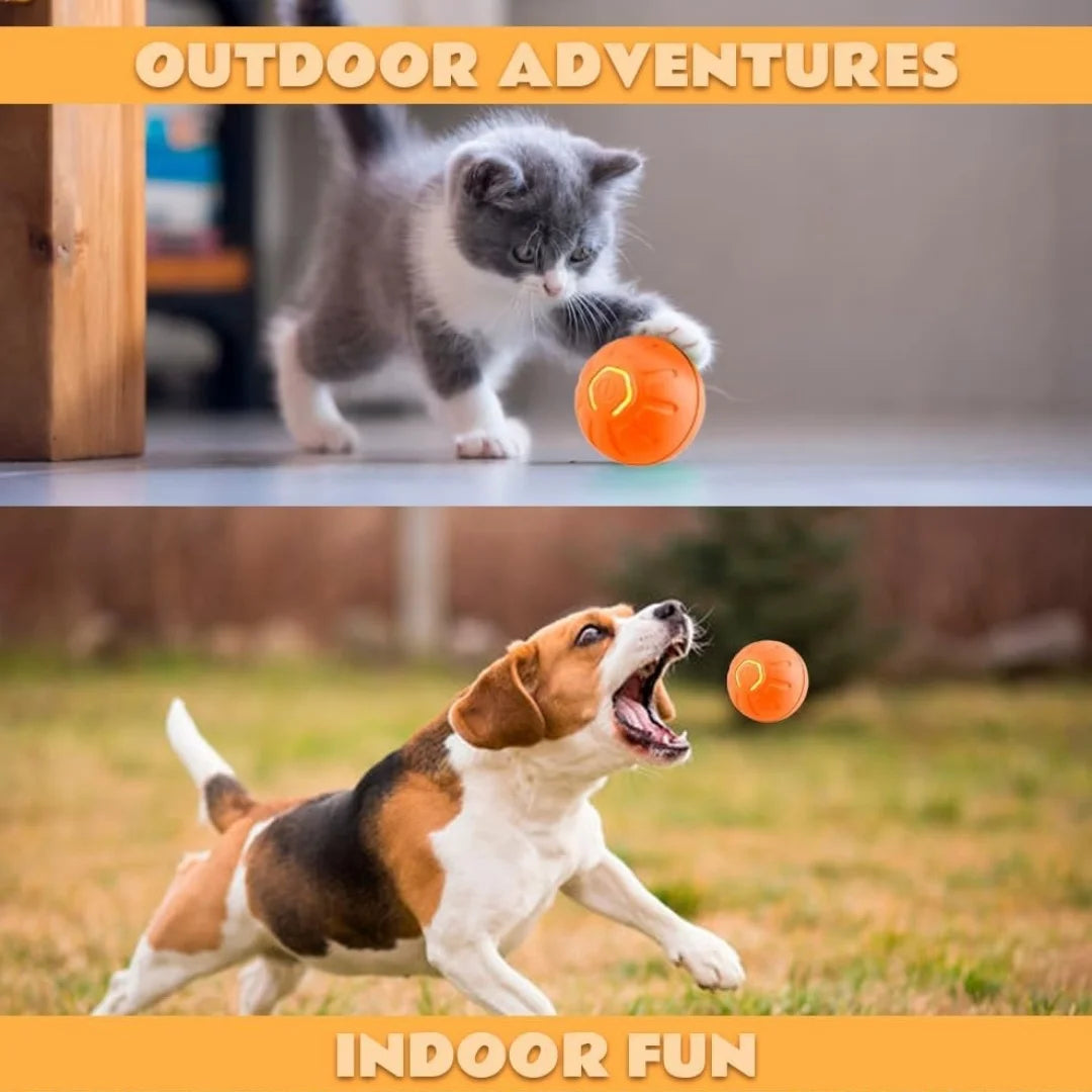 Smart Bouncing Electric Pet Ball Automatic Movement Chew Resistant Toy
