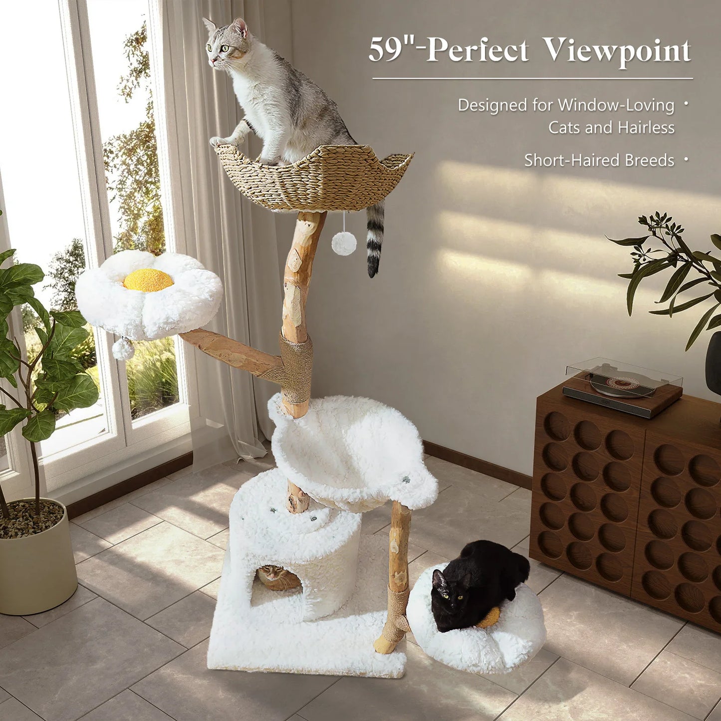 PEQULTICN Solid Wood Cat Tree With Spacious Condo And Perches