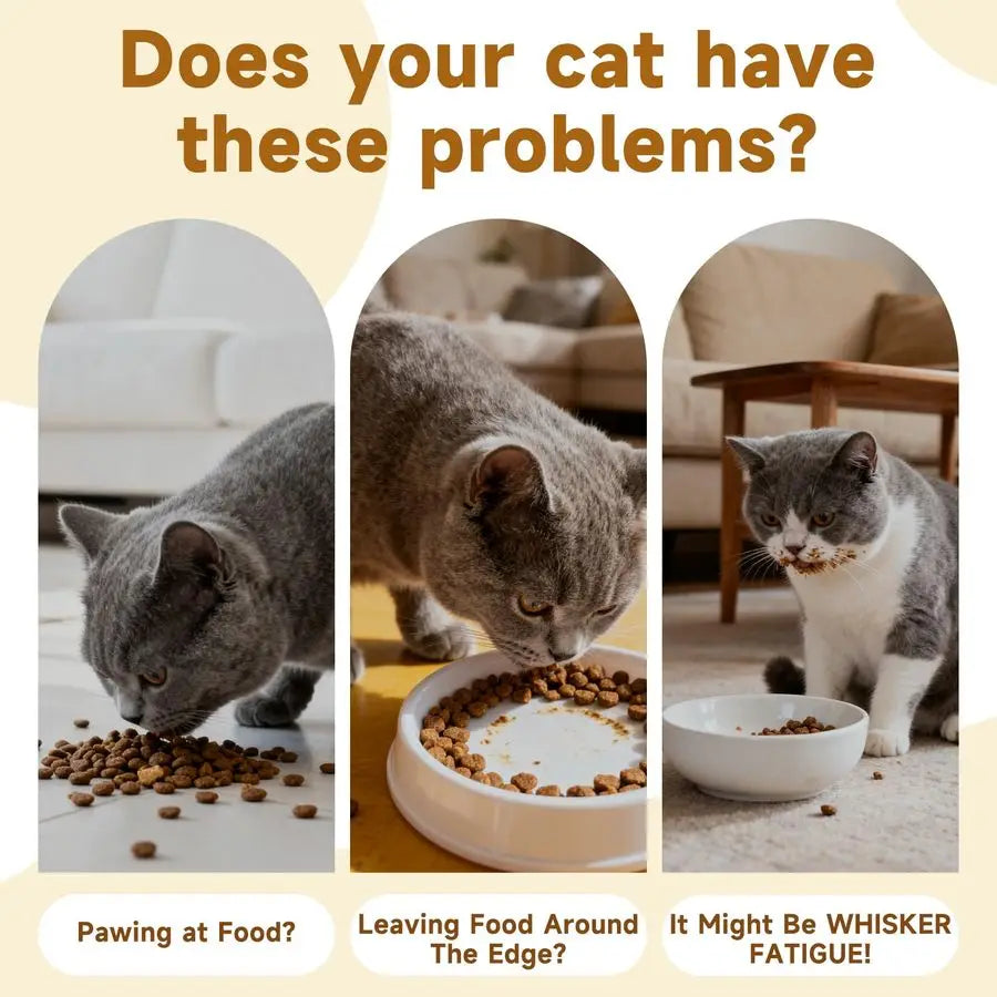 XMSJ Elevated Ceramic Cat Bowl For Whisker Fatigue Lead Free