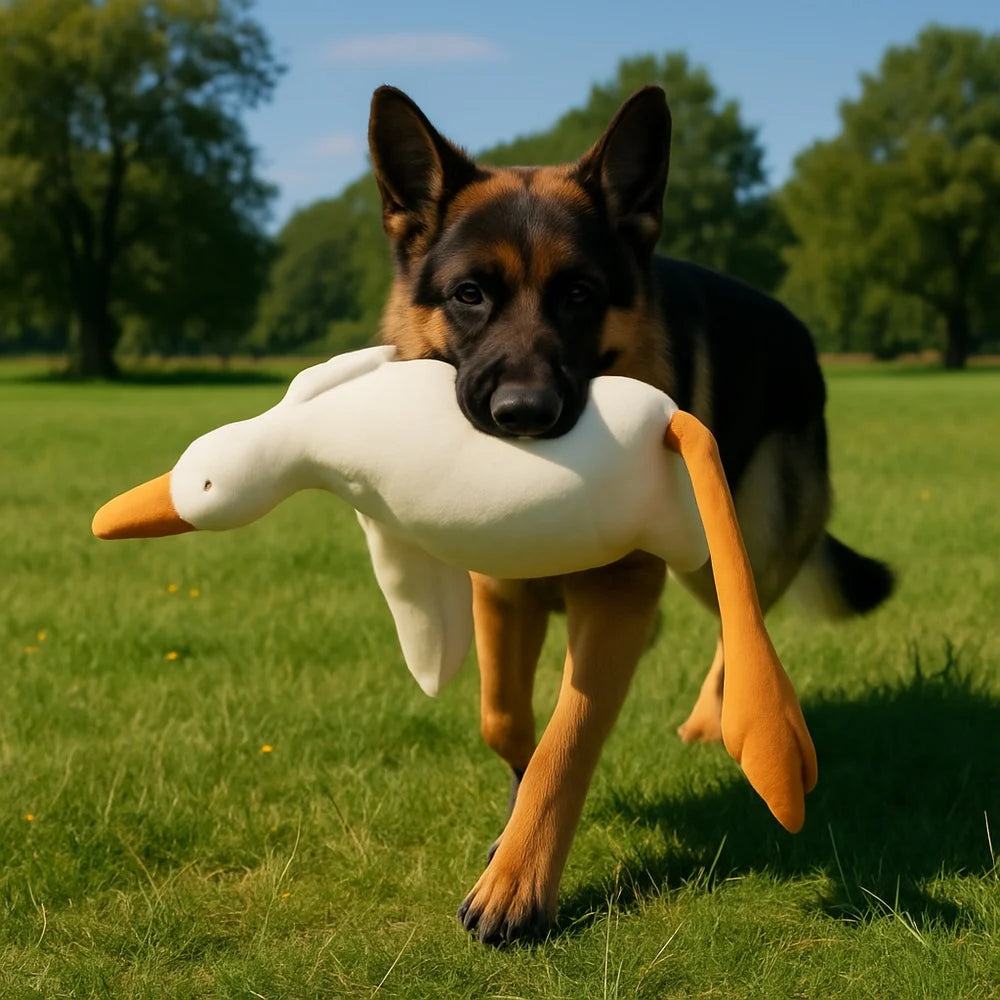 Plush Duck Dog Toy for Chewing and Play