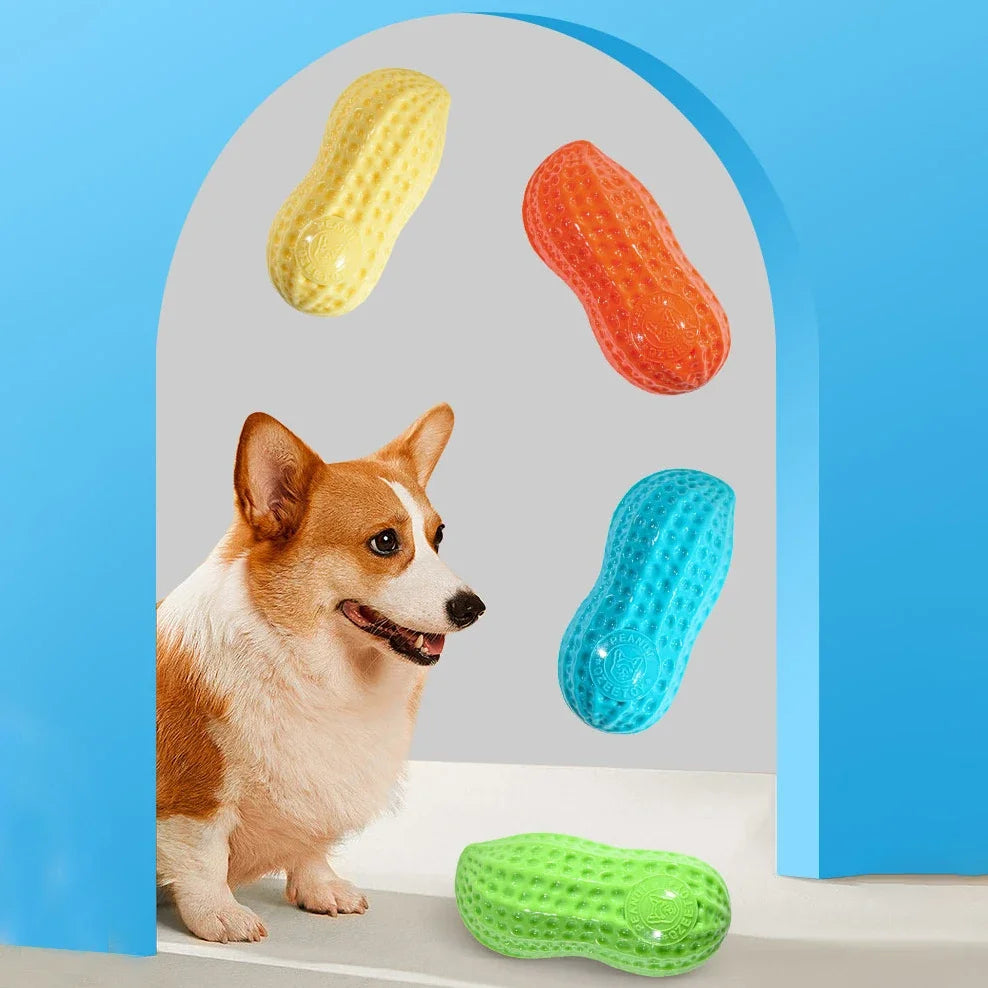Pet Peanut Squeak Chew Toy For Dogs And Cats Interactive Grinding Teeth