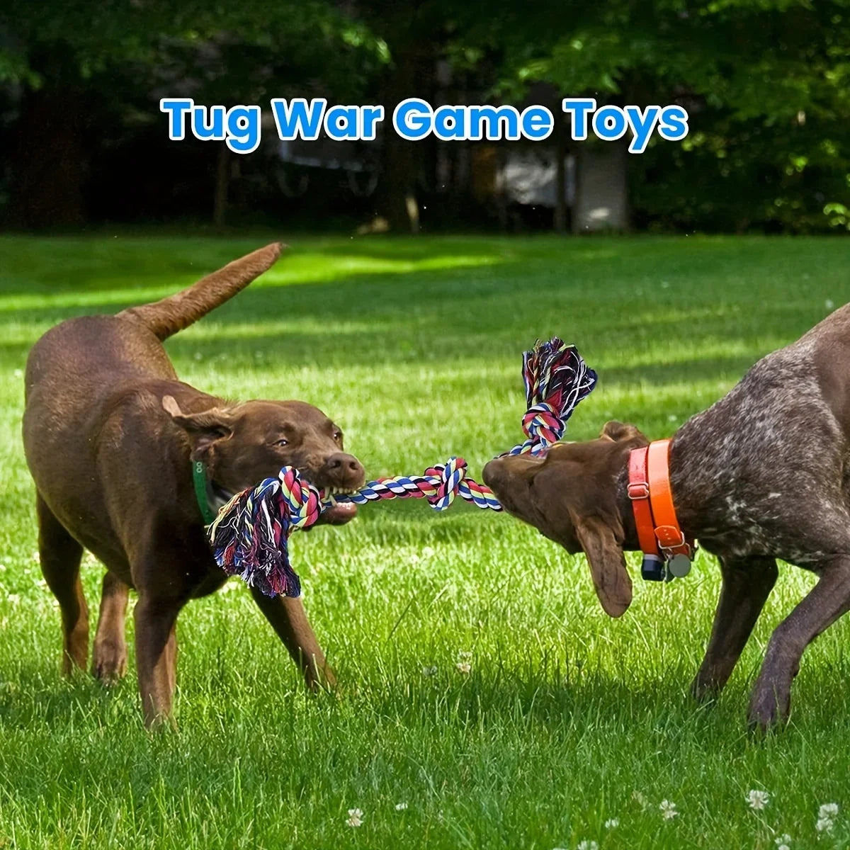 Knot Dog Toys Indestructible Durable Tug of War Chew Toys