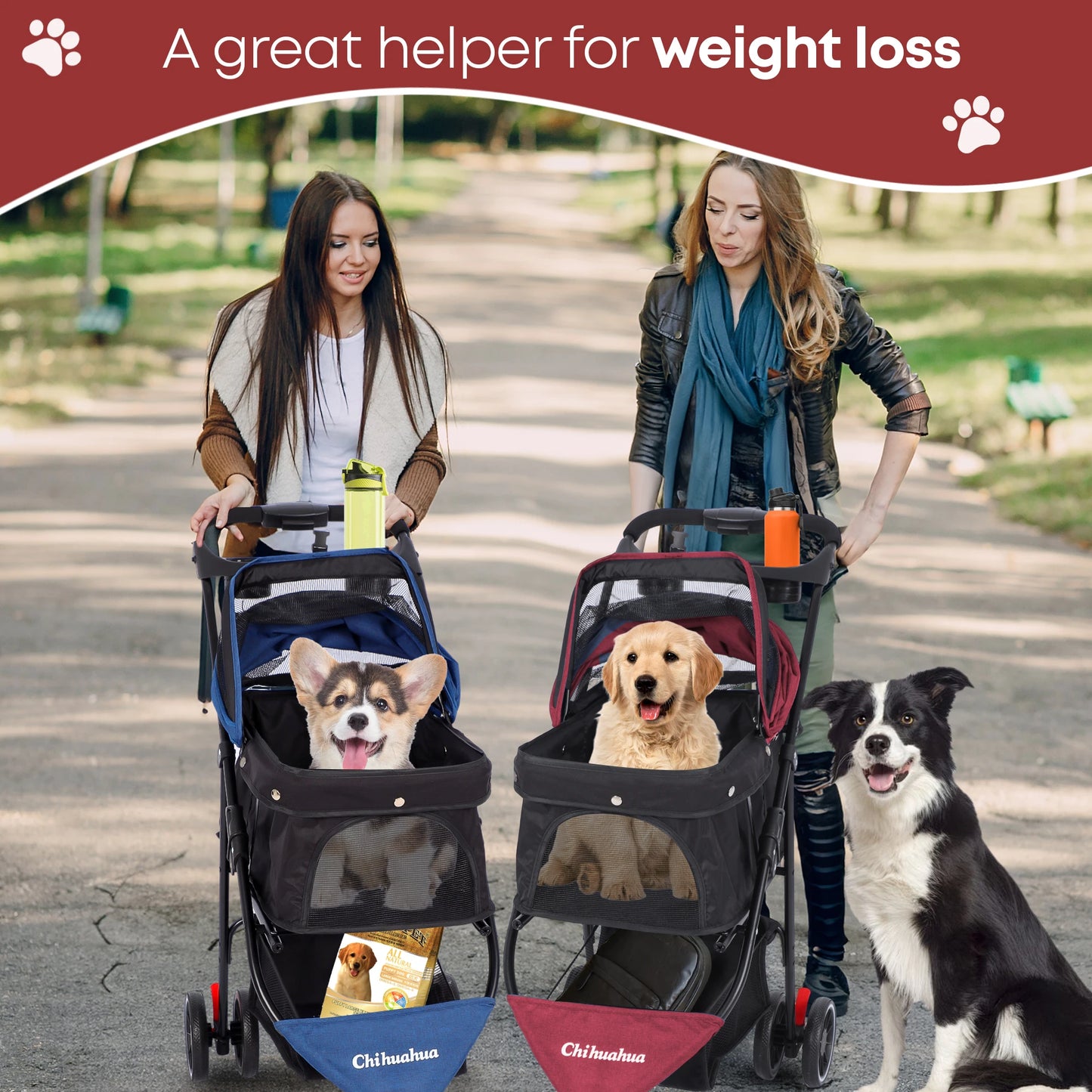 Chihuahua Pet Stroller for Cats and Dogs Foldable Three Wheel
