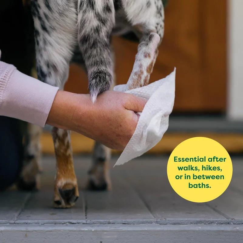 Pet Wipes for Dogs and Cats Hypoallergenic Unscented 100 Count