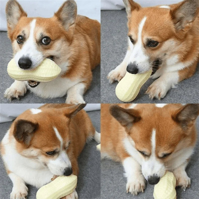 Pet Peanut Squeak Chew Toy For Dogs And Cats Interactive Grinding Teeth