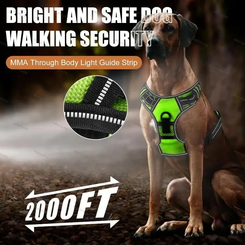 Led Luminous Dog Harness No Pull Adjustable Rechargeable For Walking