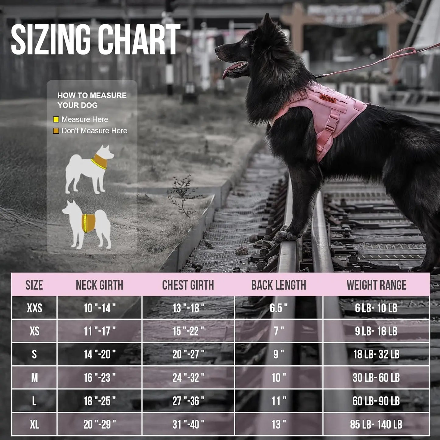 Adjustable No Pull Dog Harness Vest for Walking and Training