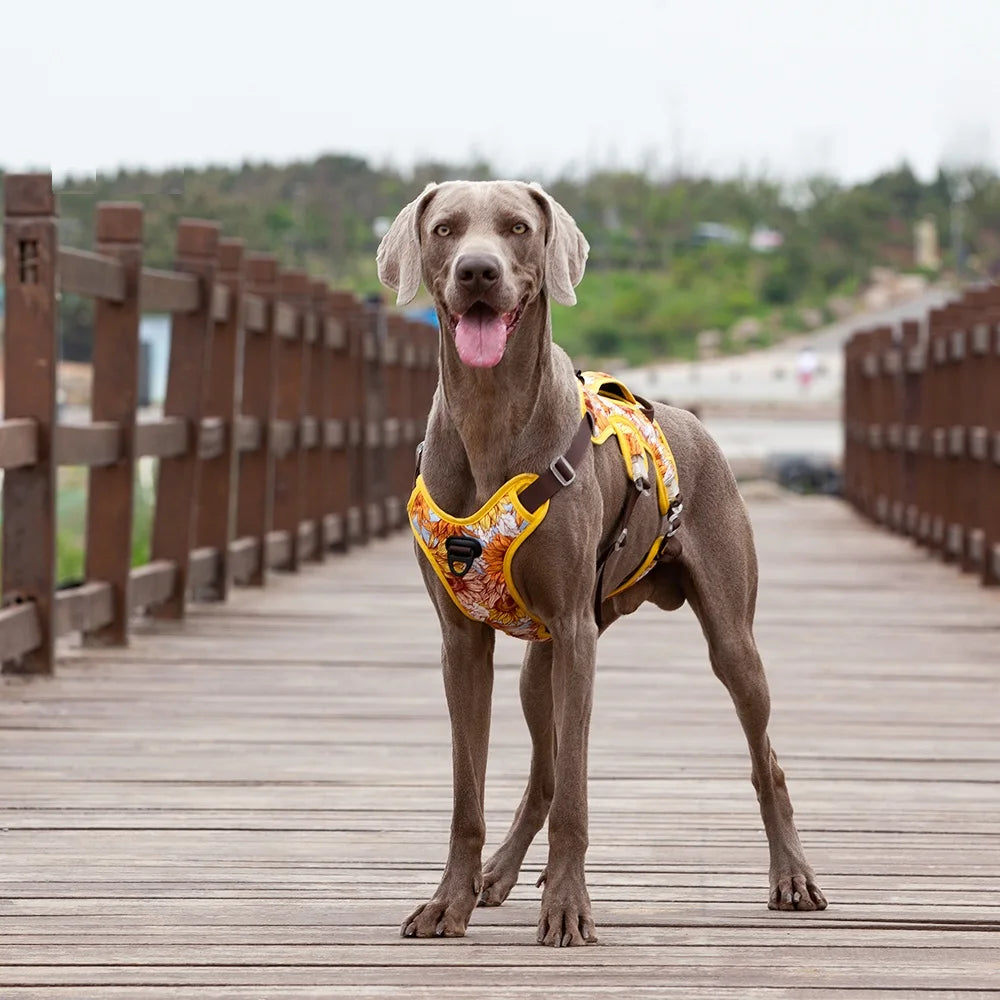 JANPET No Pull Adjustable Reflective Dog Harness Chest Vest