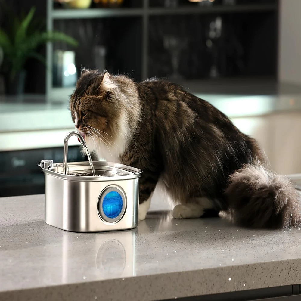 Stainless Steel Pet Water Feeder And Drinking Fountain