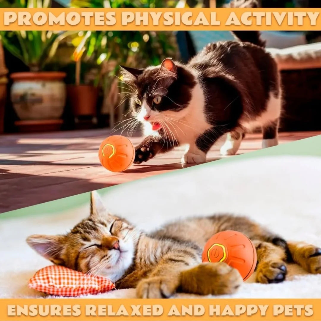 Smart Bouncing Electric Pet Ball Automatic Movement Chew Resistant Toy