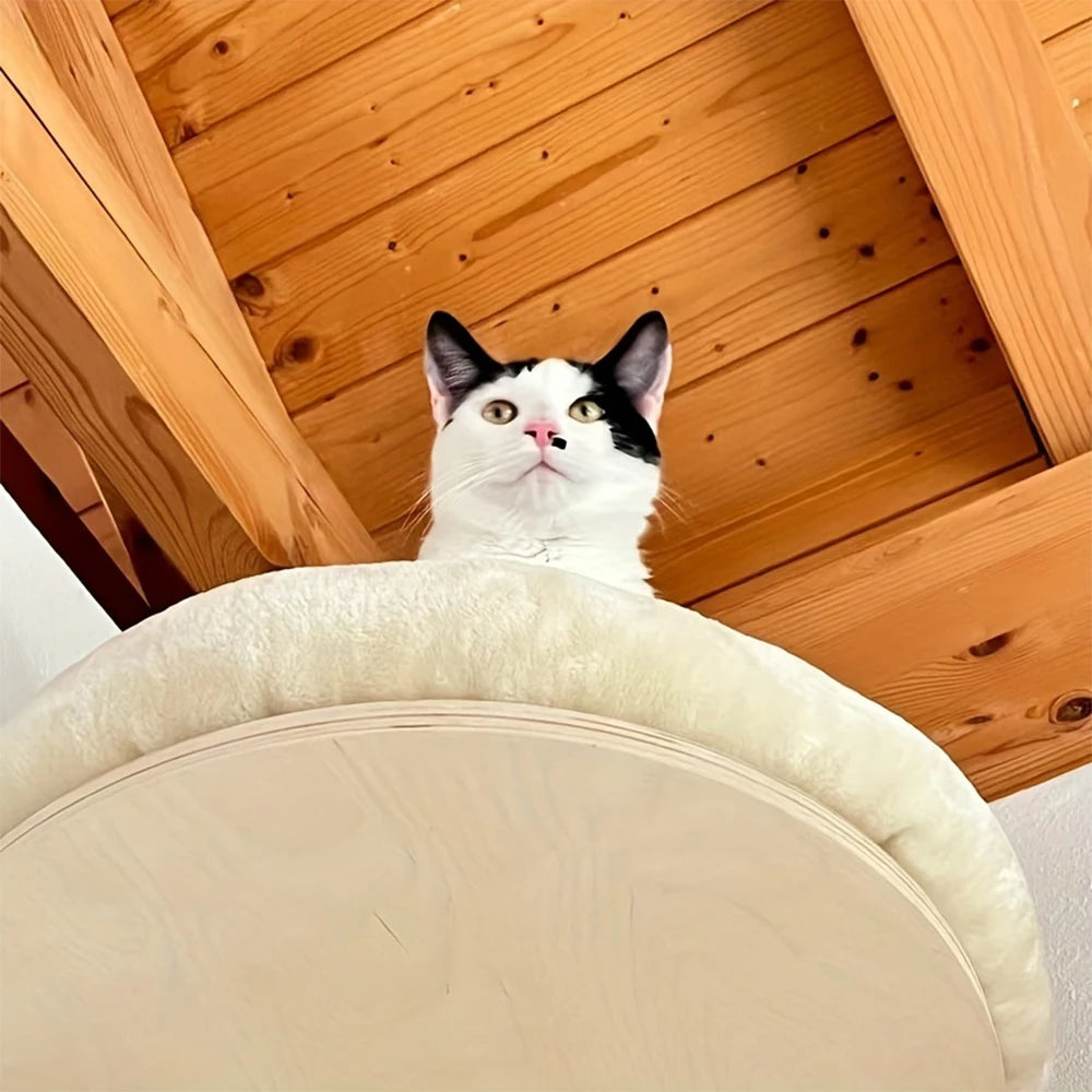 PETRAVELCN Cat Wall Mounted Solid Wood Climbing Ladder Hammock