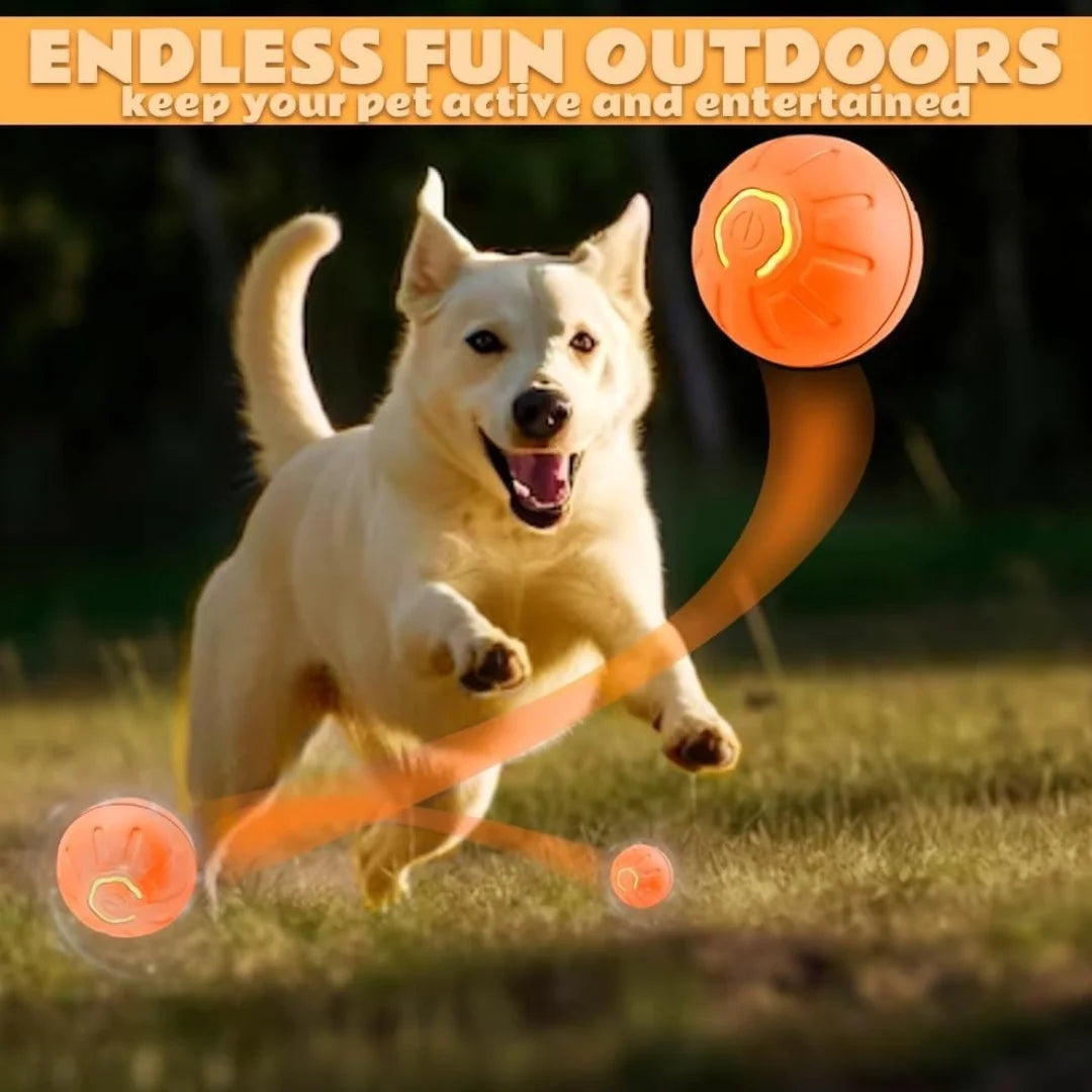 Smart Bouncing Electric Pet Ball Automatic Movement Chew Resistant Toy