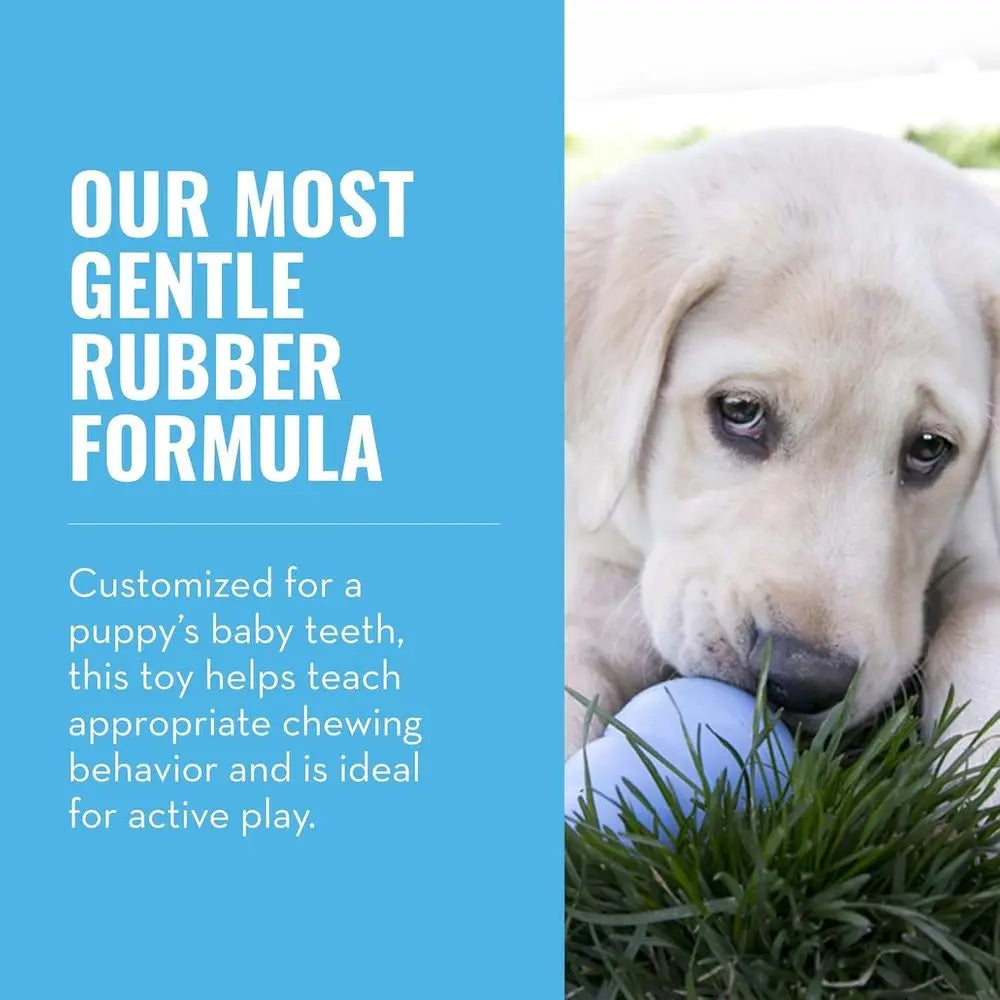 Puppy Natural Teething Rubber Chew Toy for Dogs - Stable Dog Toy for Extended Playtime - Chew & Fetch Toy for Puppies - Small Pu