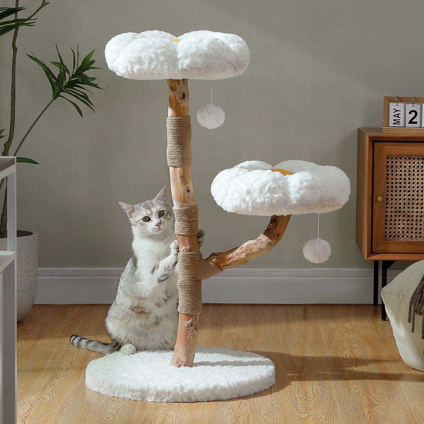 PEQULTICN Solid Wood Cat Tree With Spacious Condo And Perches