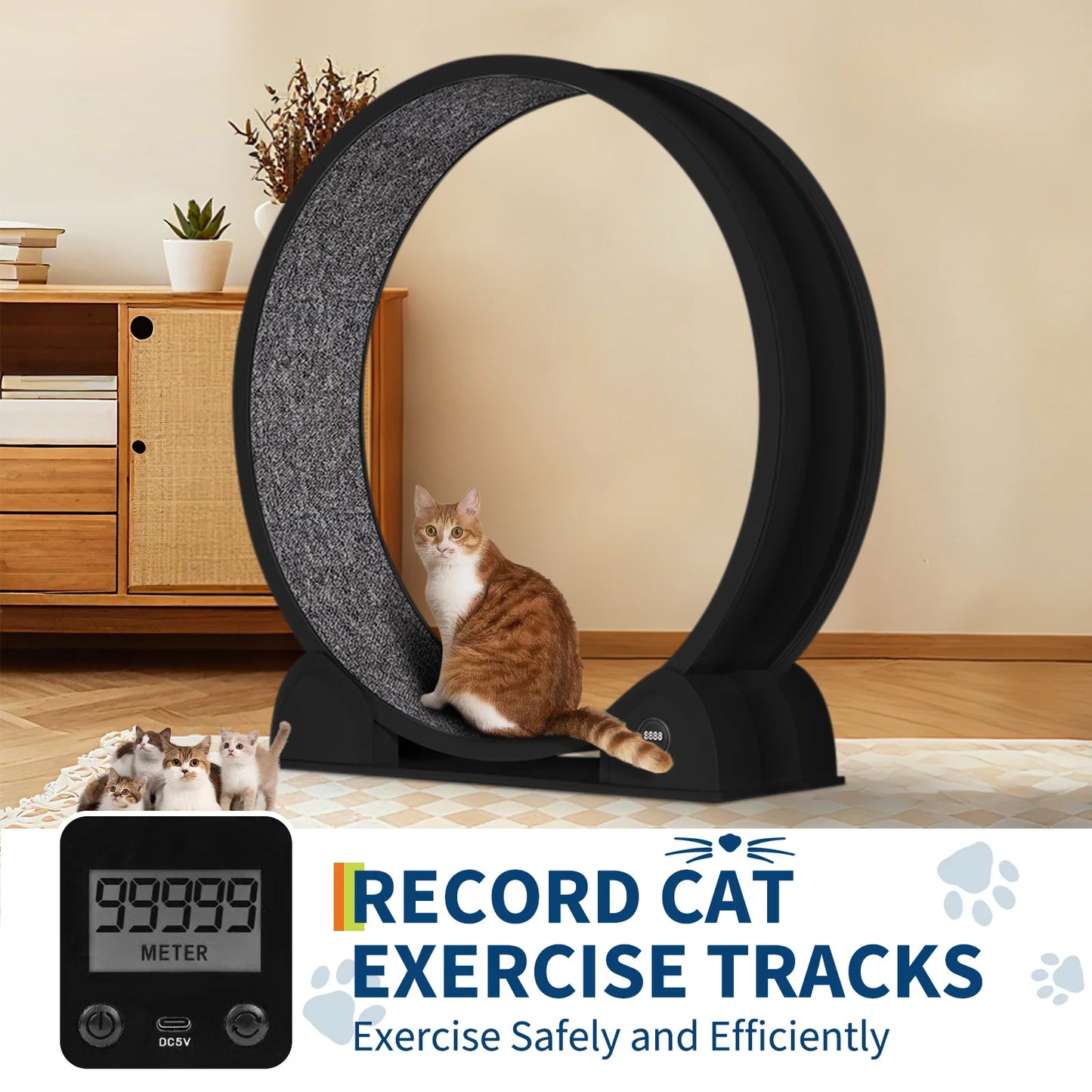 HiMISS Cat Exercise Wheel With Pedometer And Removable Mat Fitness