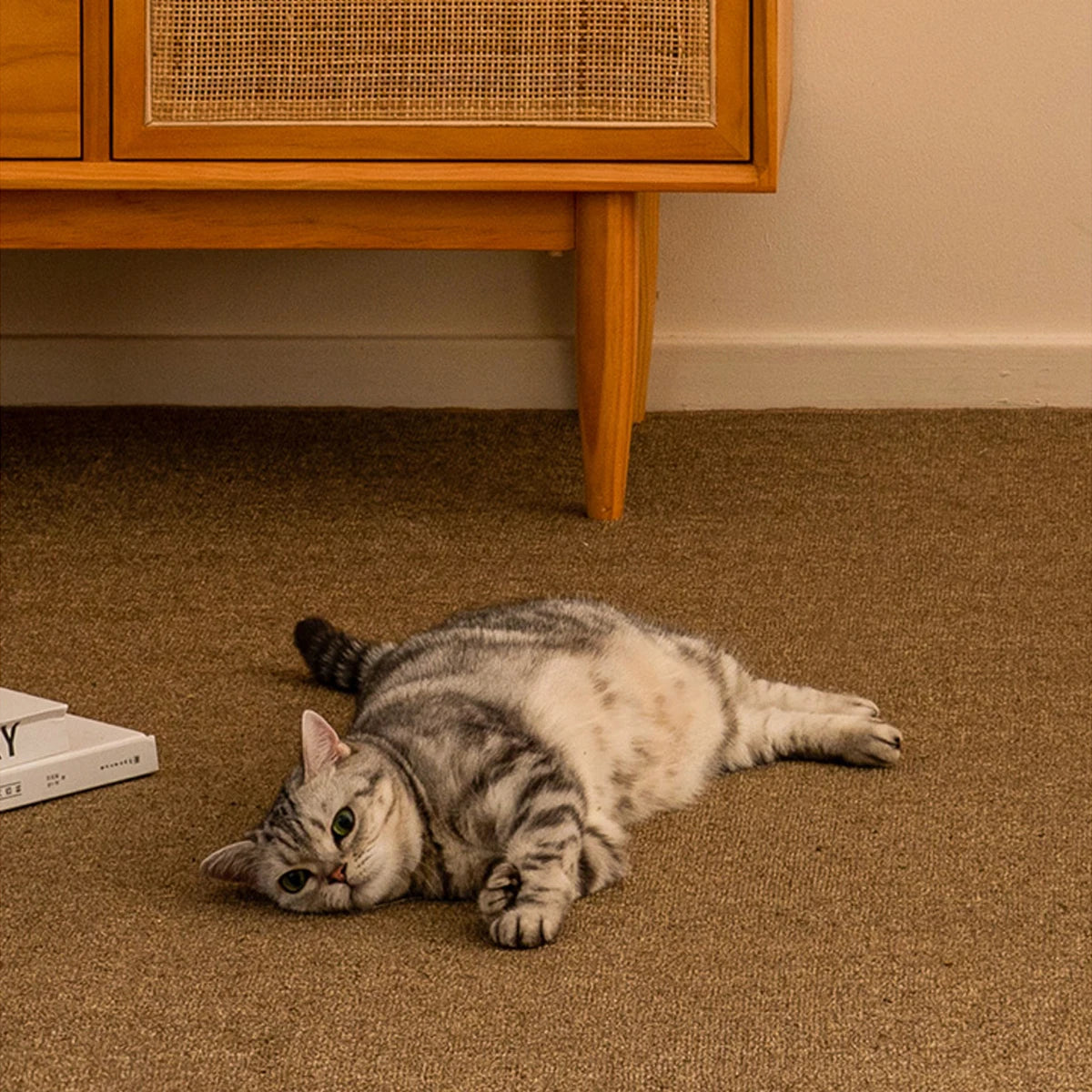 NONECN Cat Scratching Mat Carpet Non Slip Bed Sofa Protector