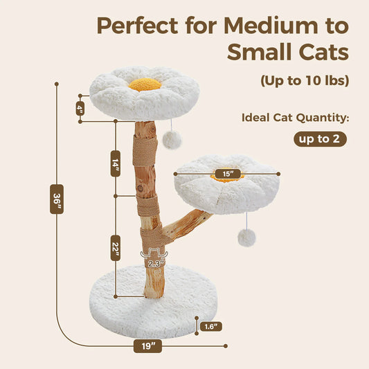 PEQULTICN Solid Wood Cat Tree With Spacious Condo And Perches