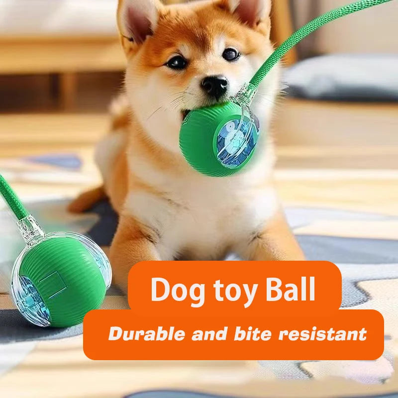 New Dog Interactive Ball Toy Automatic Rolling Ball