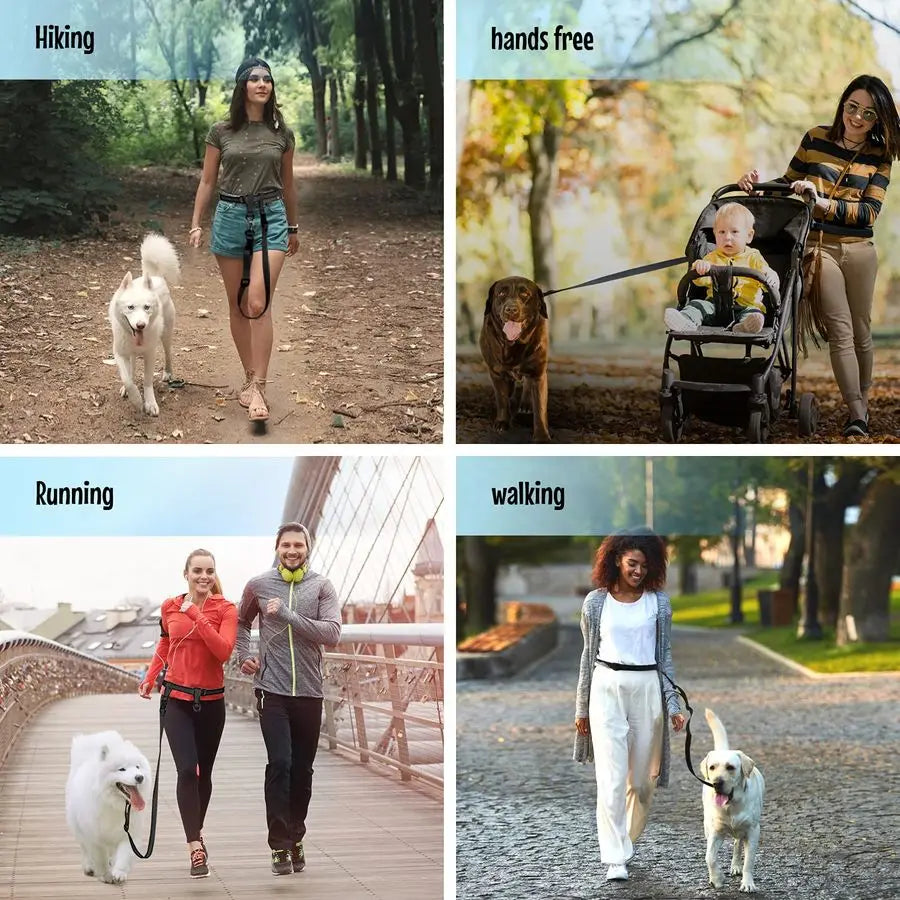 Hands Free Adjustable Dog Leash For Running And Training