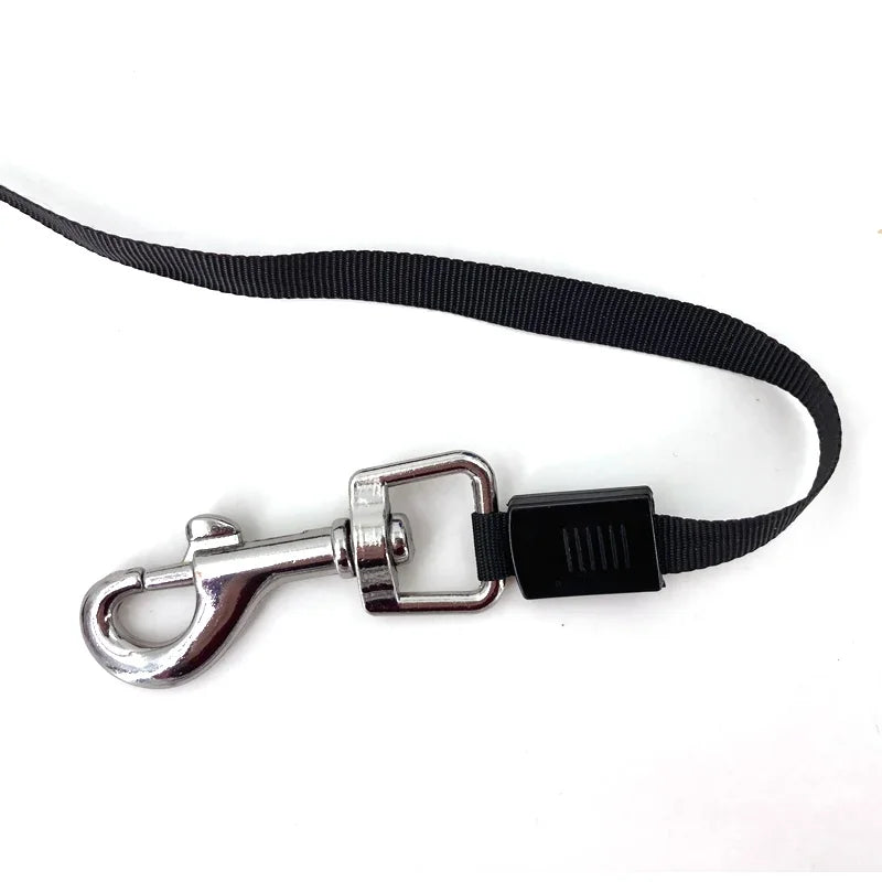 Retractable Dog Leash Auto Quick Release For Small Medium Dogs