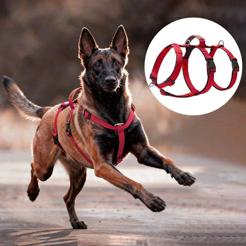 NONECN Escape Proof Nylon Dog Harness With Handle No Pull