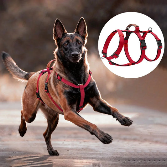 NONECN Escape Proof Nylon Dog Harness With Handle No Pull