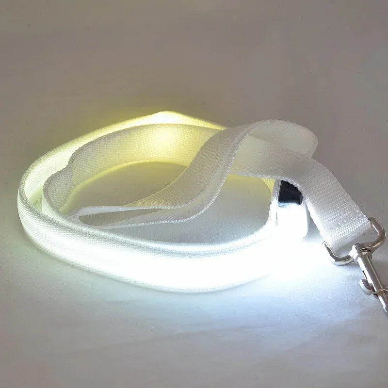 Led Light Up Dog Leash With Luminous Rope Safety Glow