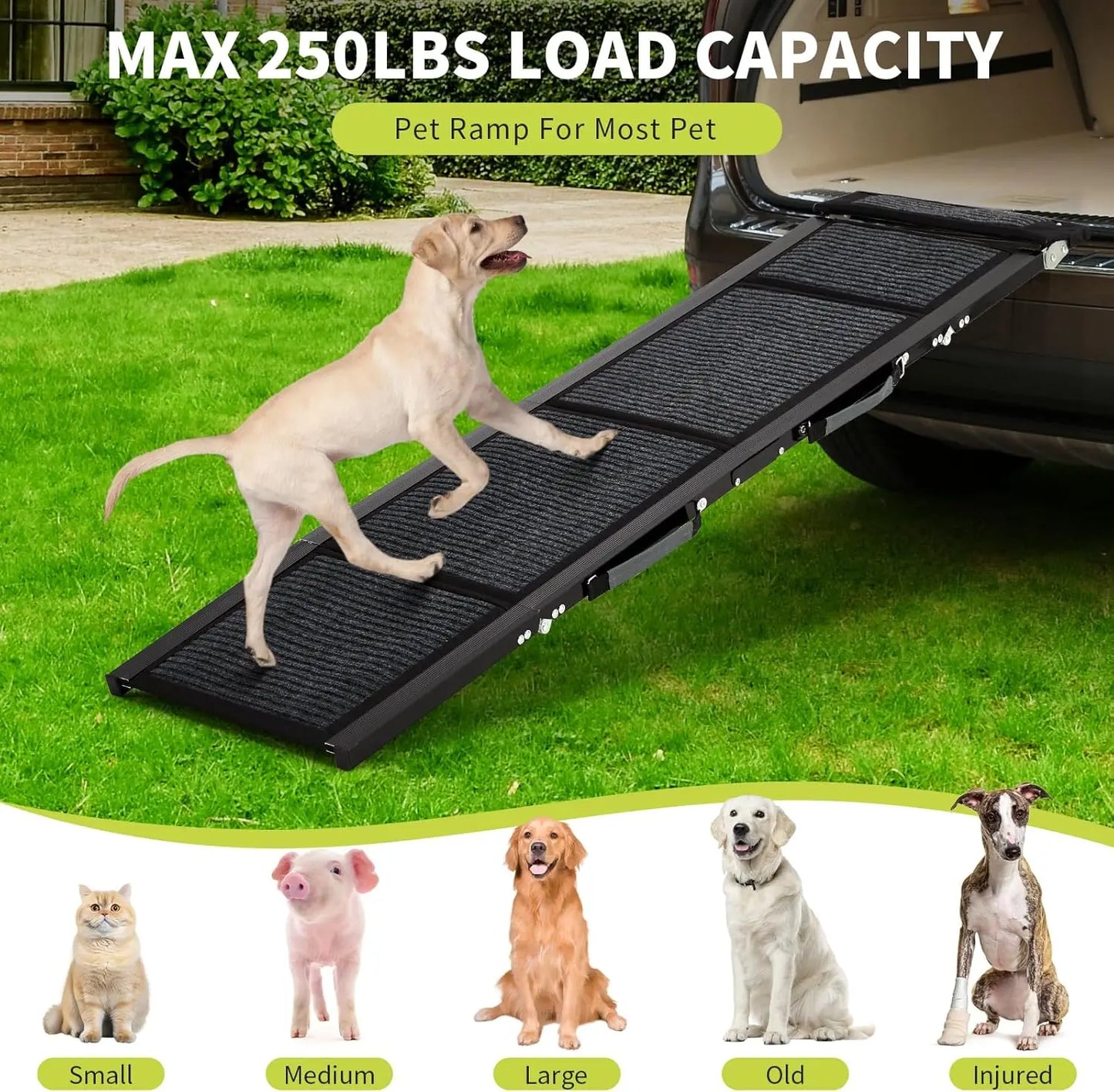 TWISTER.CK Dog Ramp For Cars Quad Fold Non Slip Ramp