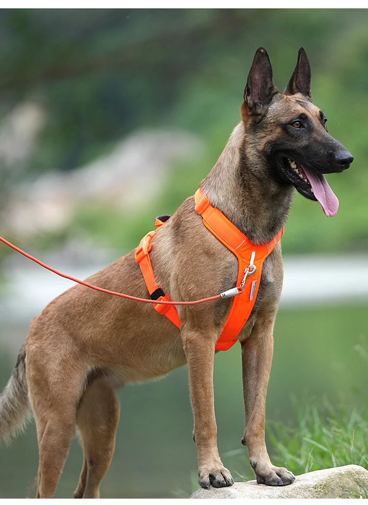 Small Combination Pet Harness No Pull Reflective Dog Vest Adjustable