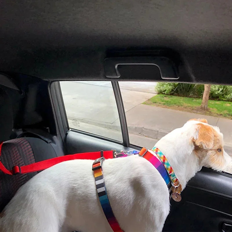 NONECN Two In One PetCare Car Seat Belt Leash Harness