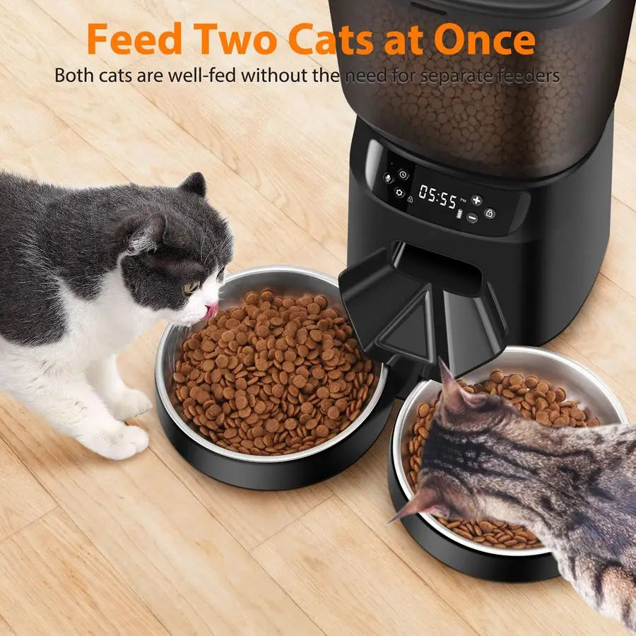 Double Automatic Cat Feeder for Two Cats With Timer and Stainless Bowls