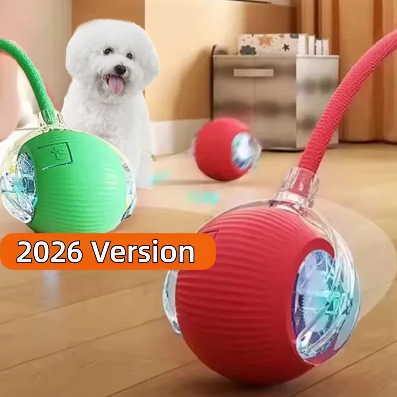 New Dog Interactive Ball Toy Automatic Rolling Ball