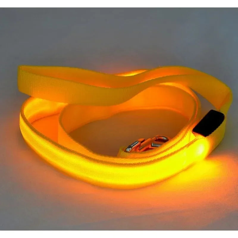 Led Light Up Dog Leash With Luminous Rope Safety Glow