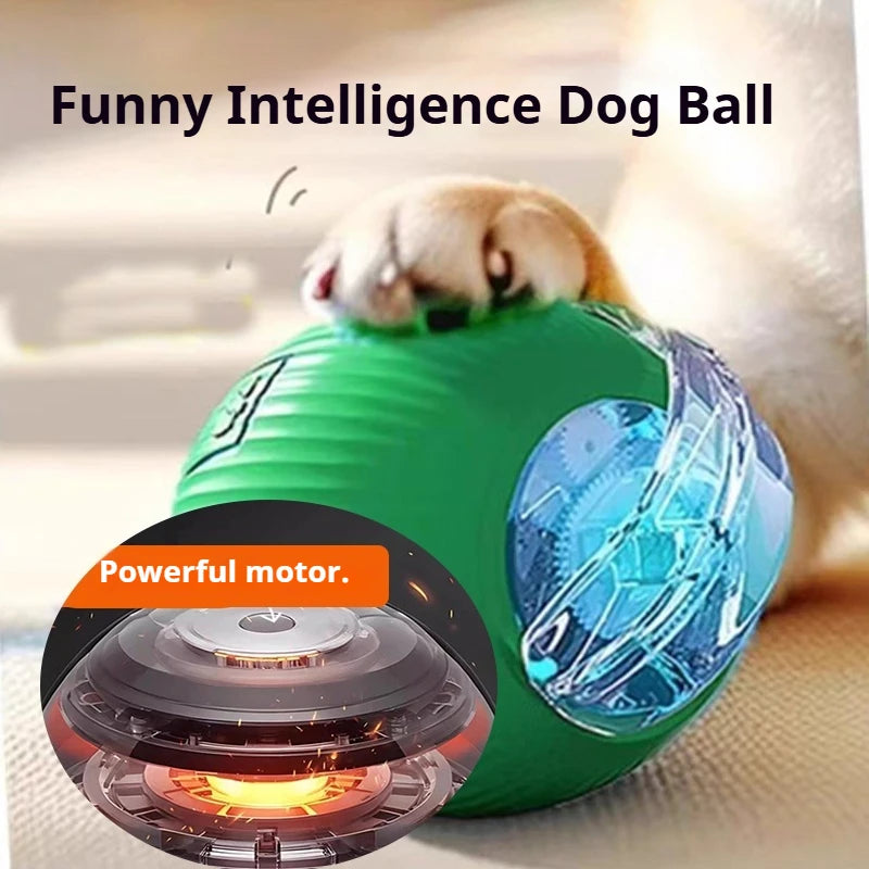 New Dog Interactive Ball Toy Automatic Rolling Ball