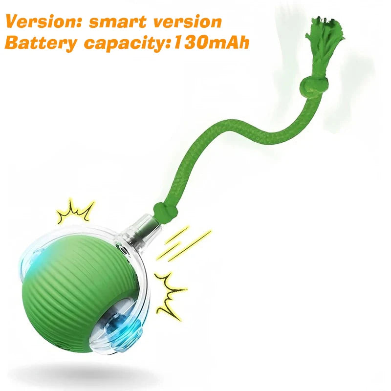 New Dog Interactive Ball Toy Automatic Rolling Ball