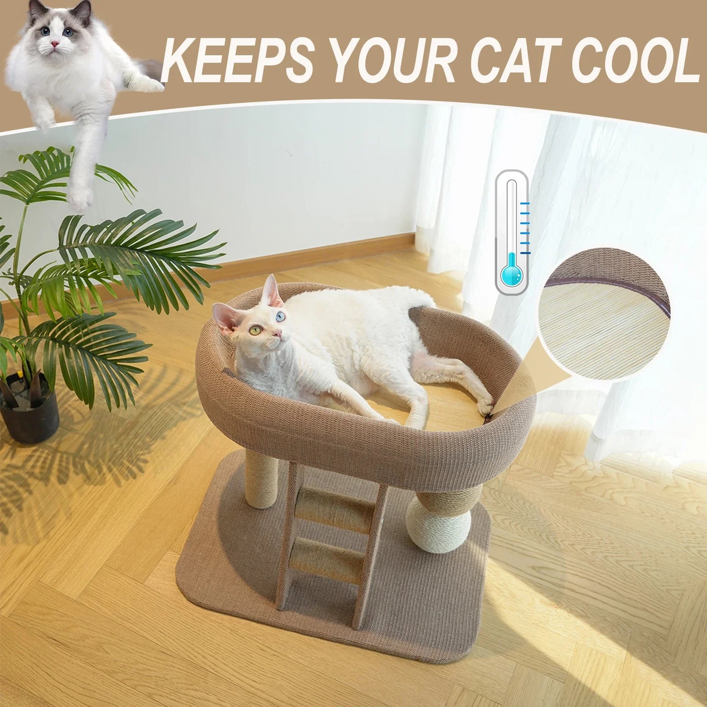 NONECN Cat Scratching Post With Plush Bed For Indoor Cats