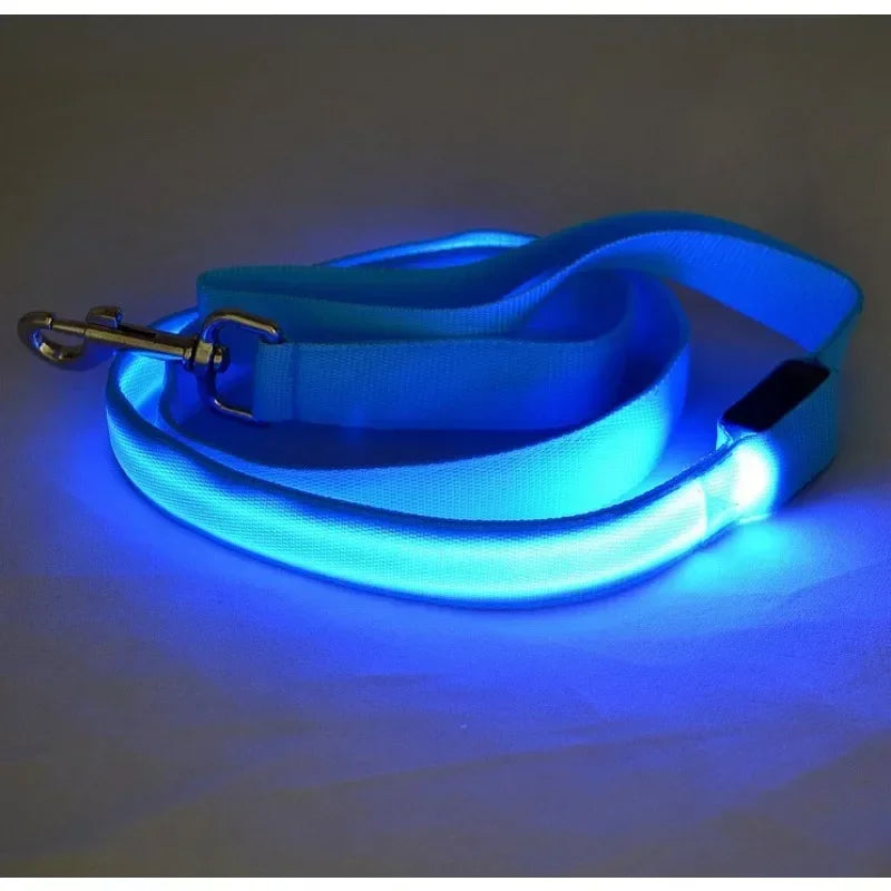 Led Light Up Dog Leash With Luminous Rope Safety Glow