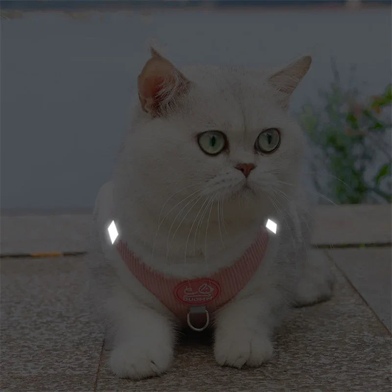 Walking Sphynx Cat Harness Vest With Fur And Leash